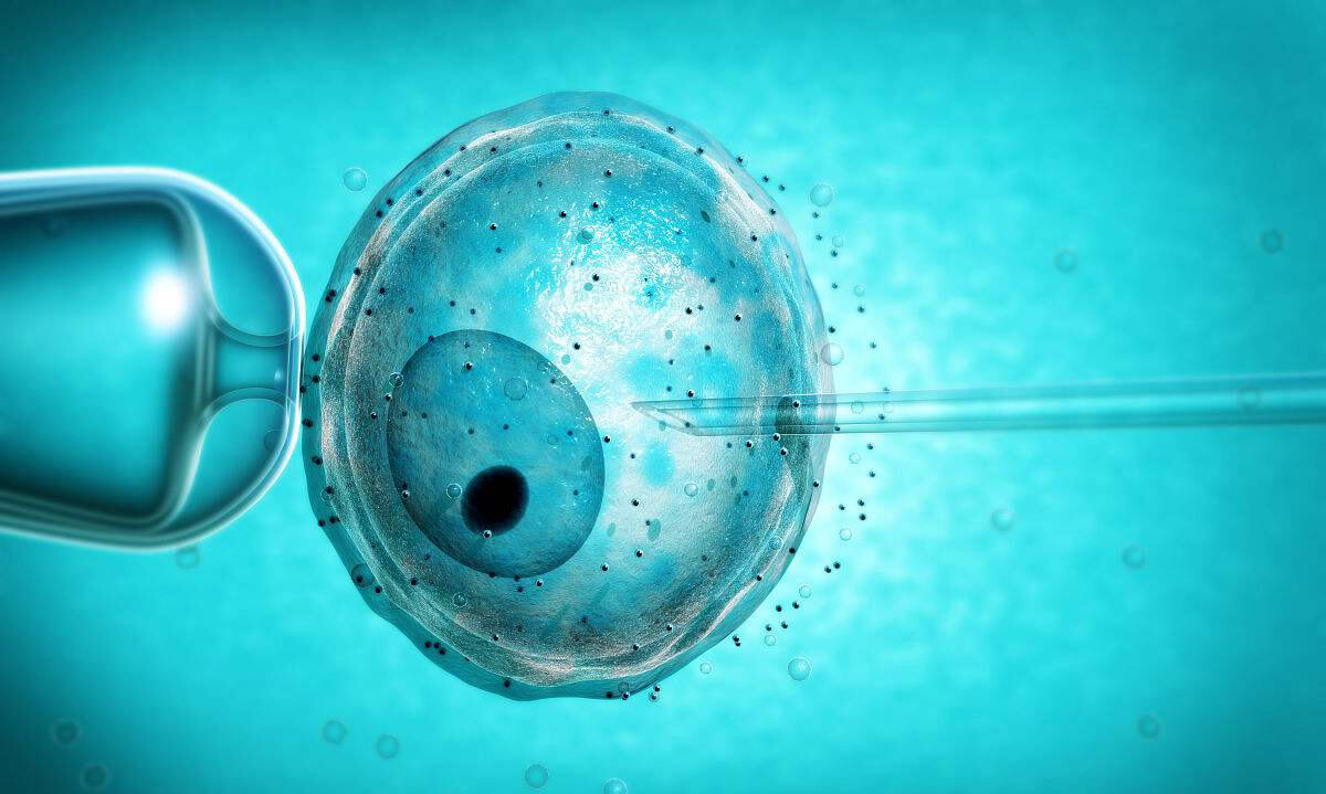 美国留学费用概览