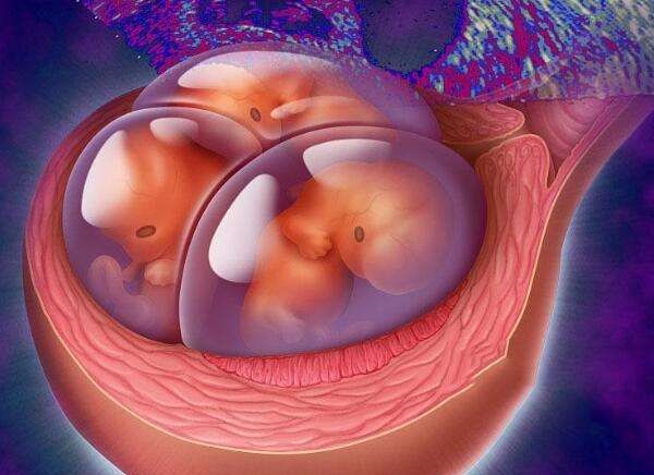 美国分娩医疗服务流程解析