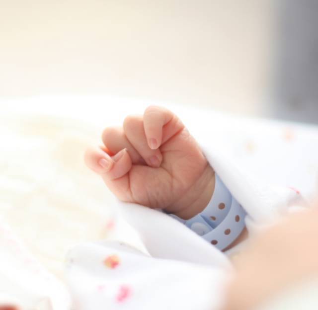 美国生育率现状