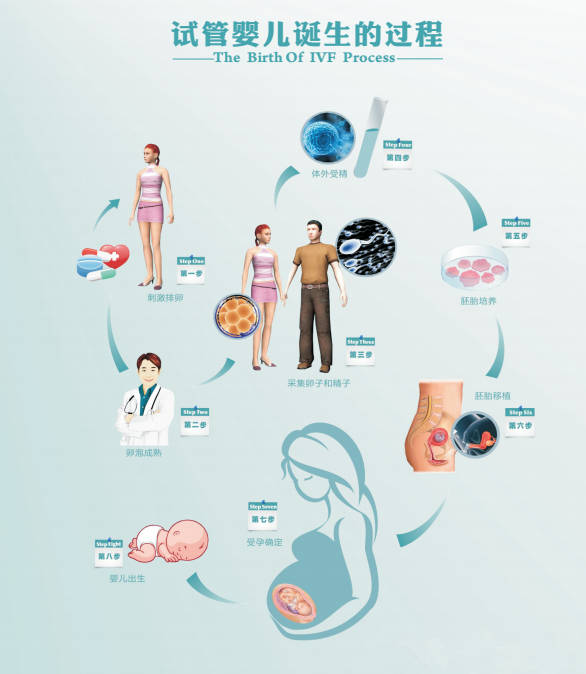 美国三代试管费用影响因素解析