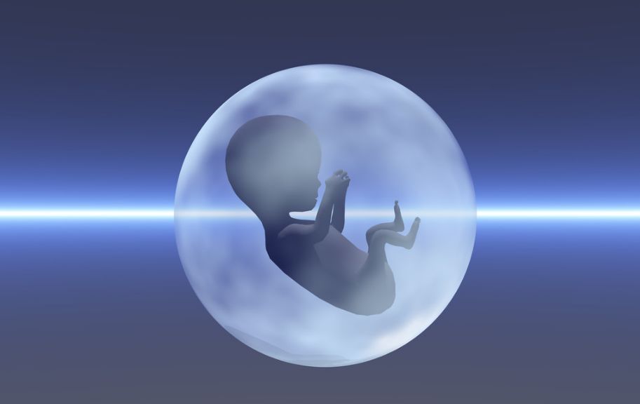 美国月子中心费用分析