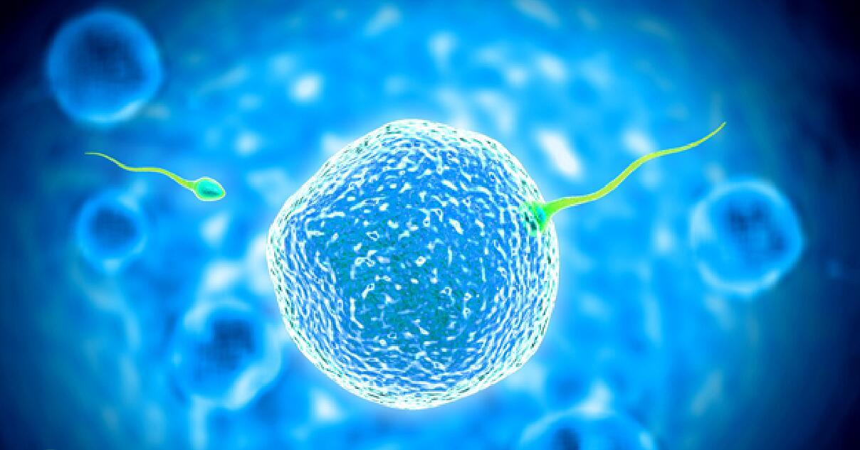 美国生子利弊分析：政策解读与风险评估