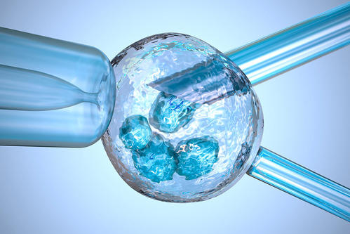 美国公民身份申请流程