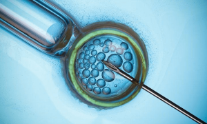 网上在线医生咨询平台数据安全