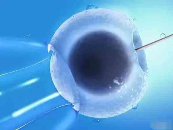 美国公民身份规划