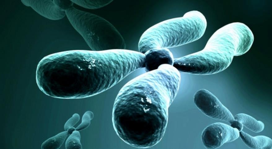 美国生子费用估算