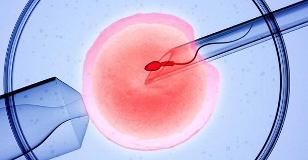 维生素E 缺乏与女性不孕症发生风险关系研究