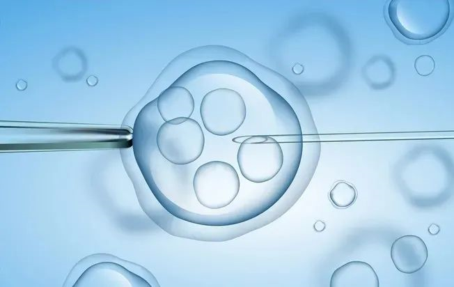 美国生孩子医疗费用解析